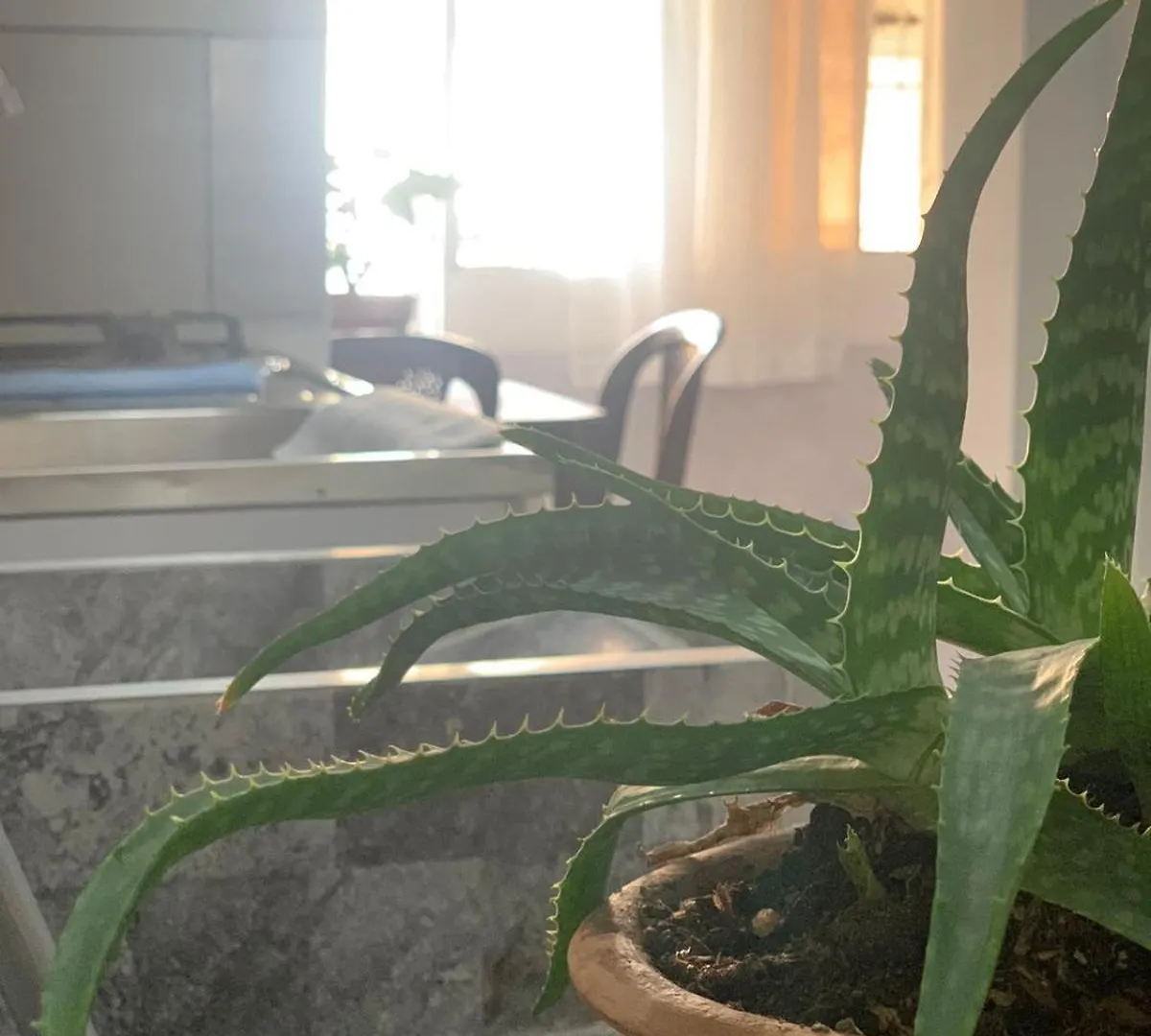 Hostel Hostal Casablanca, Laureles Estadio Μεντεγίν